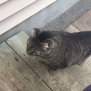 Meet your Posher, Leeanna